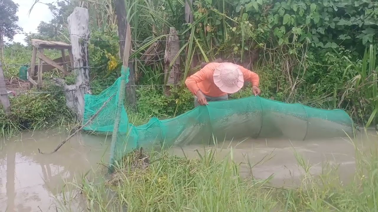 ដាក់ស្បៃខែទឹកឡើងសម្បូរត្រីចូល
