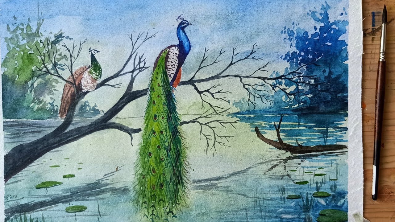 Painting a beautiful scenery with a pair of Peacock | Watercolour