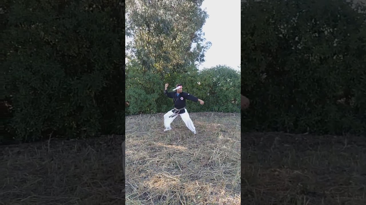 Chababdo Nanbudoka. Chabab Chihan Dai Nanbudokas3