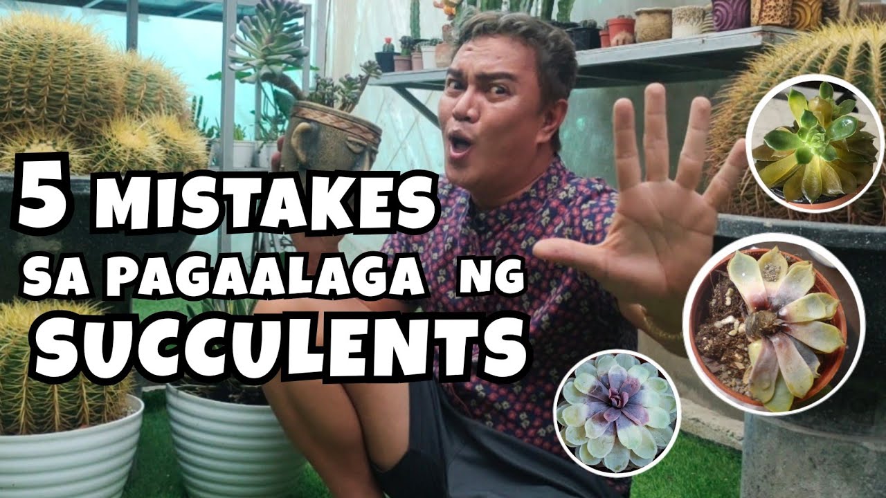 5 MISTAKES SA PAG-AALAGA NG SUCCULENTS | THINGS TOAVOID IN CARING THIS PLANTS