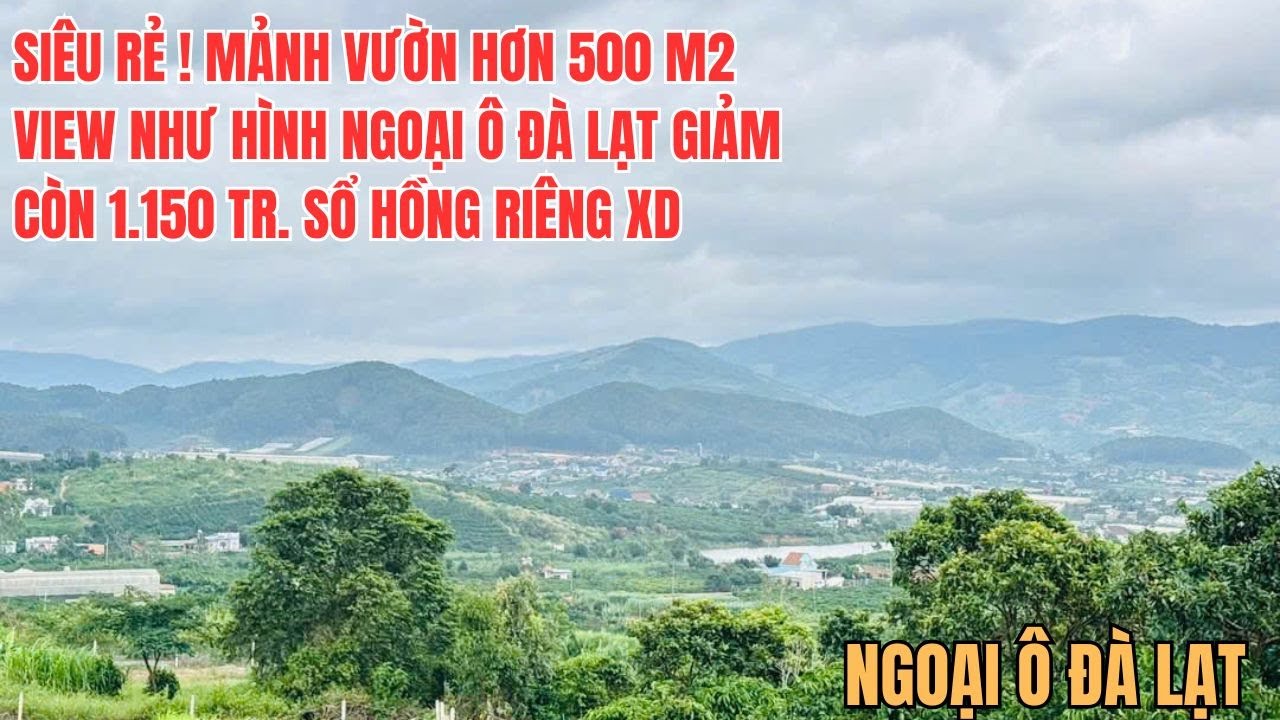 CỰC RẺ ! KHU VƯỜN HƠN 500 M2 SÁT CẠNH ĐÀ LẠT GIẢM CÒN 1.150 TR VIEW NHƯ HÌNH SỔ HỒNG RIÊNG XD TỰ DO