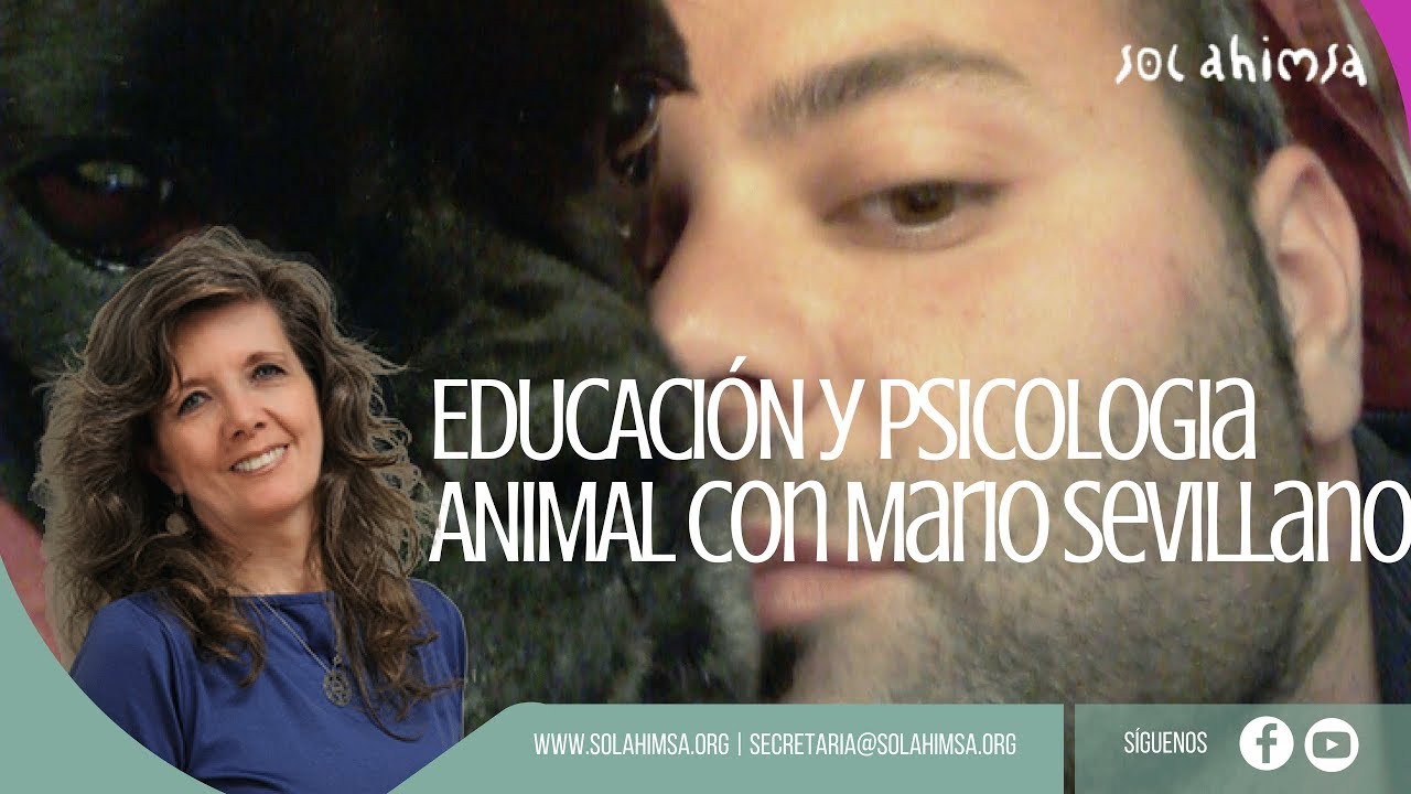 EDUCACI&Oacute;N Y PSICOLOGIA ANIMAL con Mario Sevillano