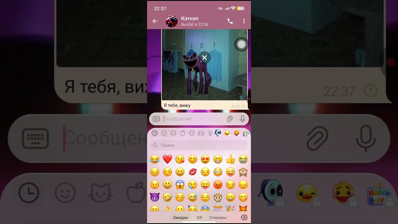 Вот, снова переписка, с кэтнэпом , и он , отобрал мой телефон...😱