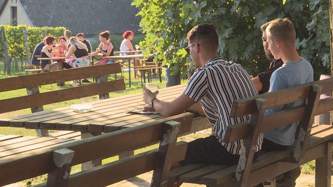 Fröccs és borkorcsolya Györkönyben
