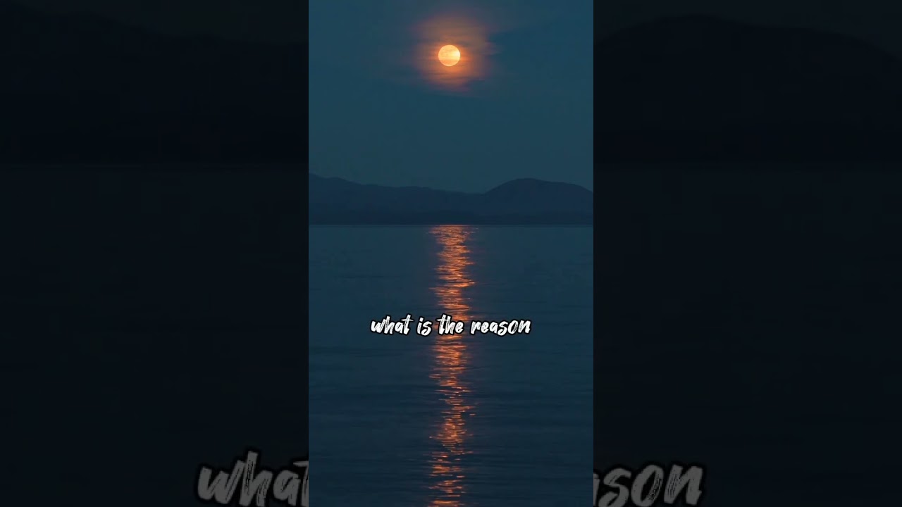 Statue - Lil Eddie/Lyrics 