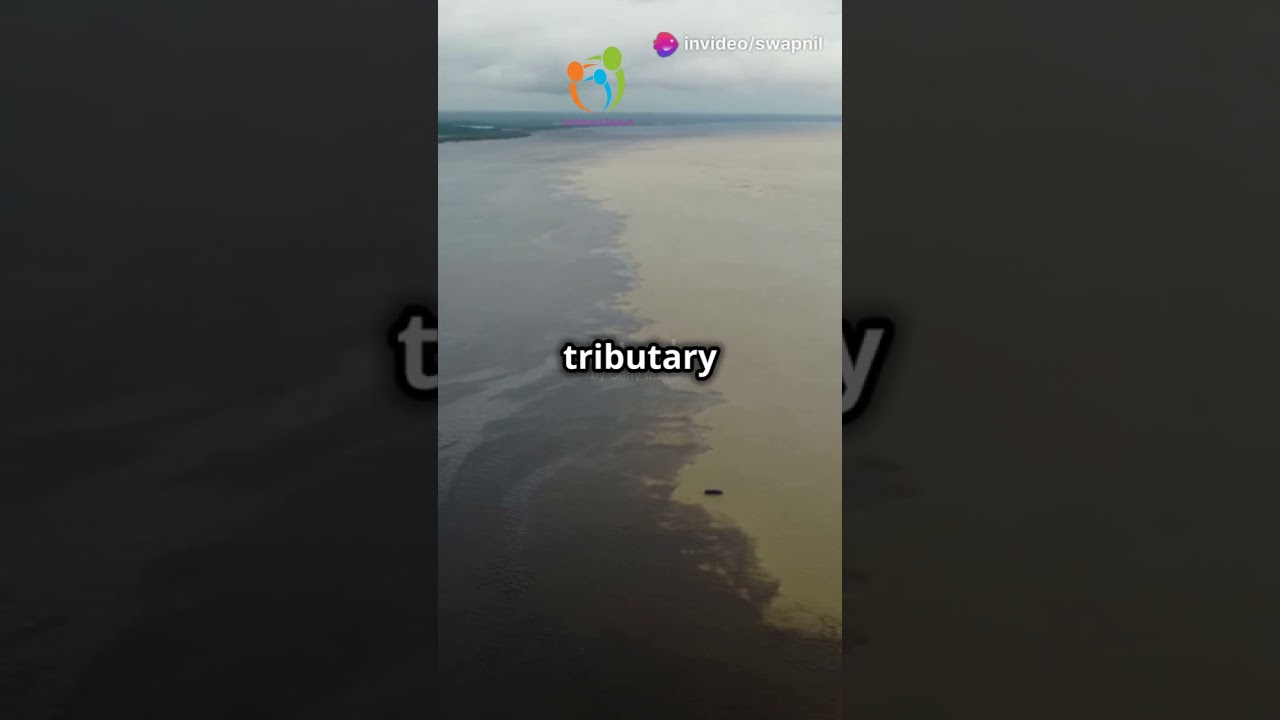 Tributary aur Distributary ka Fark