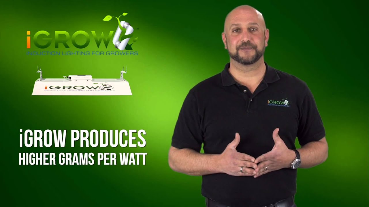 Lighting that allows you to produce the highest grams per watt for indoor growing