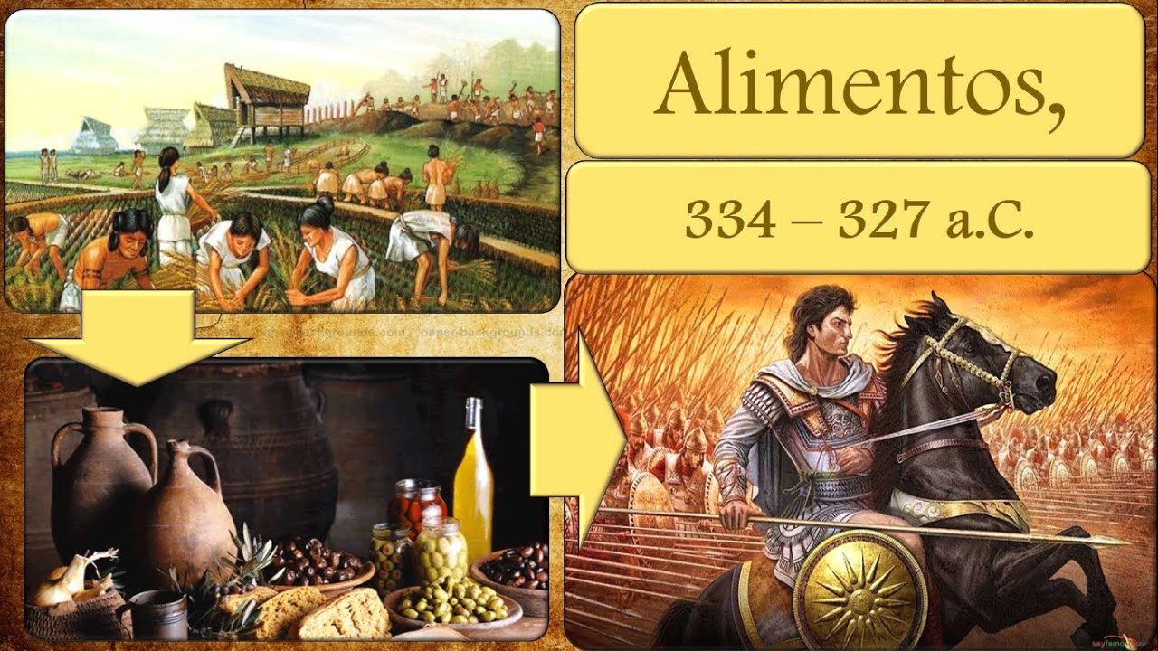 Logistica en el ejército de Alejandro (334 - 327 a.C.)