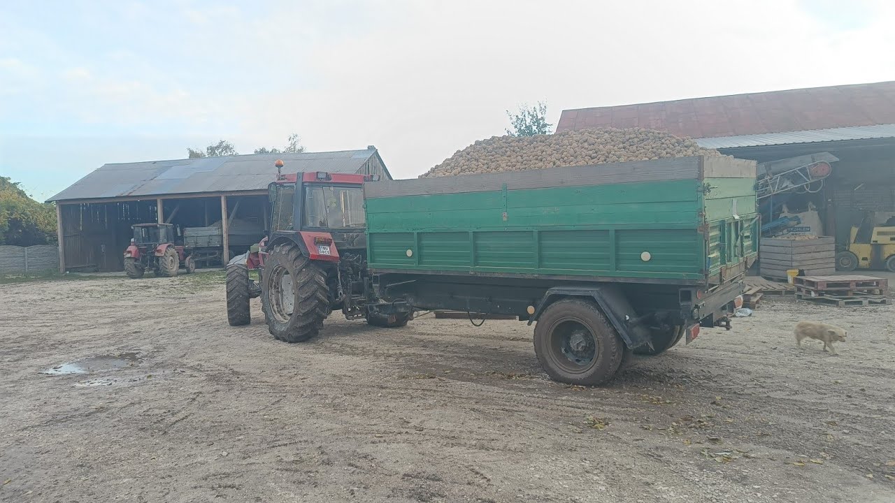 ciężki wyjazd pod g&oacute;rę case 4230 vs 11 ton