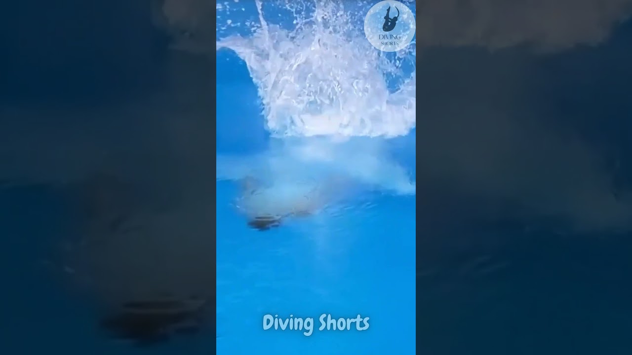 Madeline COQUOZ 🤩 Round 2 🤩 Women's 3m Springboard Final 🤩 European Games 2023