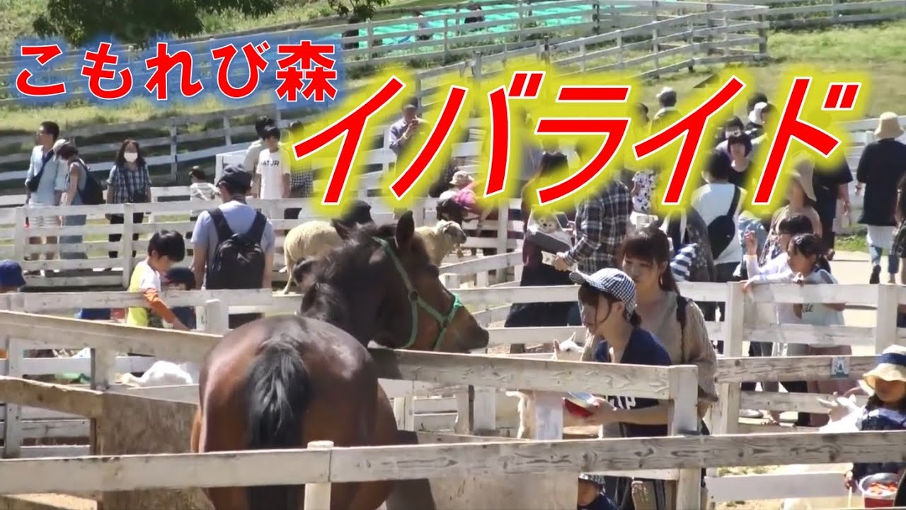 西欧の農村のようなテーマパーク「こもれび森のイバライド」