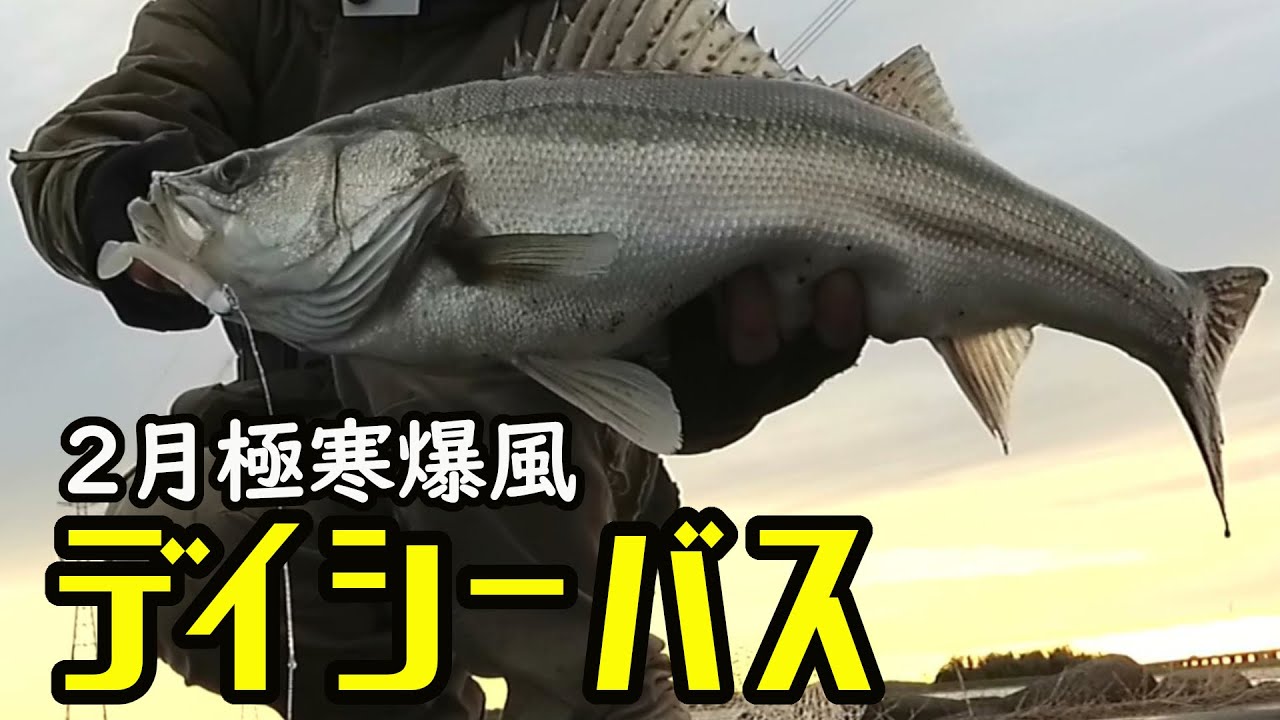 2月のラスト釣行は極寒爆風のデイシーバス　－　霞水系・霞ヶ浦・北浦・鰐川・北利根川・外浪逆浦・常陸利根川【シーバス・アメリカナマズ・バス】－やまいぬ【釣りと歌】チャンネル