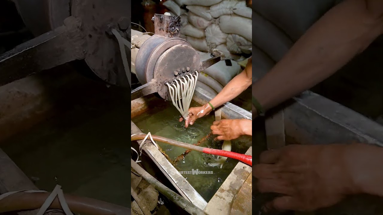 Recycling Waste Plastic to Make White Pellets