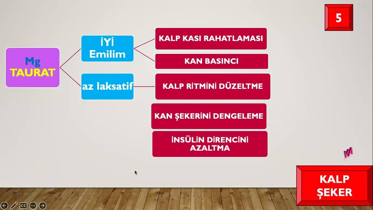 MAGNEZYUM TÜRLERİ VE DOĞRU TAKVİYE SEÇİMİ
