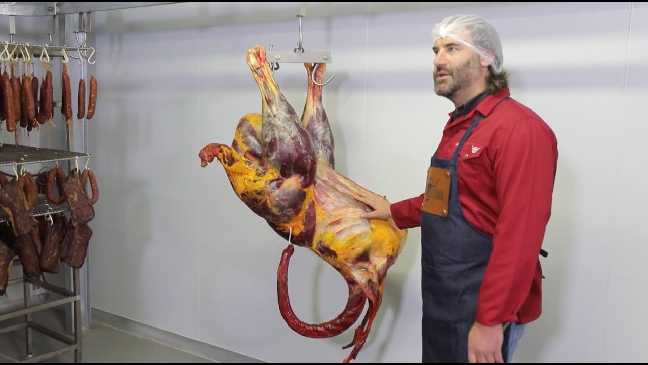 Slagmeester Episode 5 - Volstruis (Ostrich)