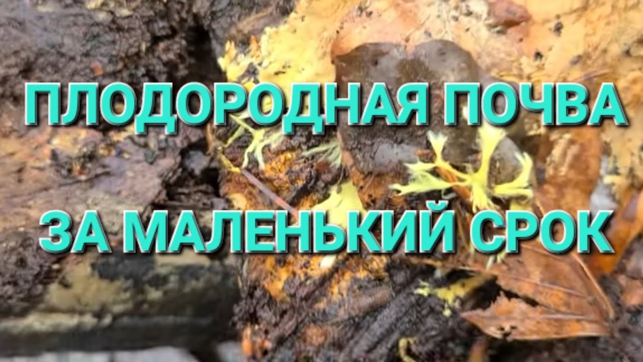 Плодородная почва за маленький срок 