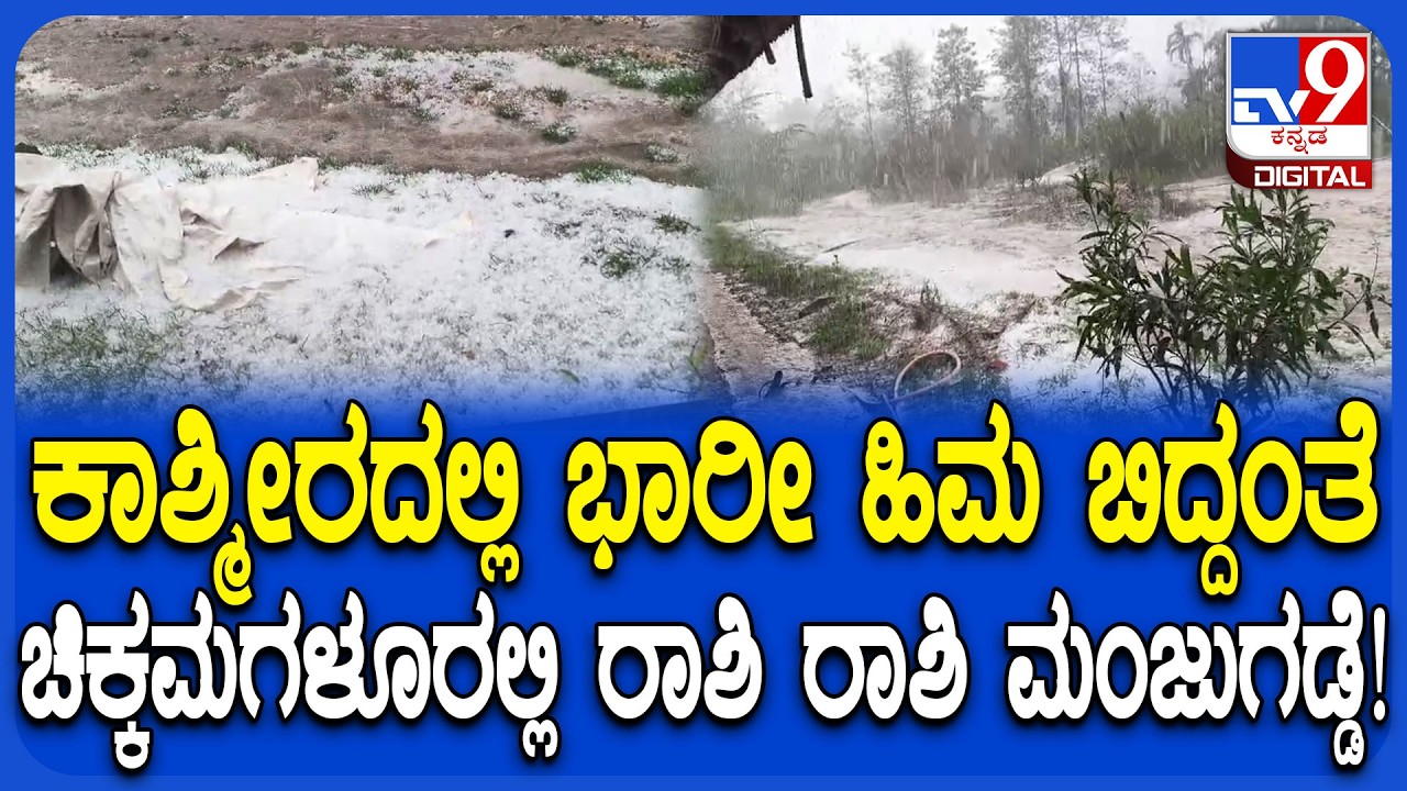 chikkamagaluru Rain: ಮಳೆ ಜೊತೆ ರಾಶಿ ರಾಶಿ ಮಂಜುಗಡ್ಡೆ! ಹಿಮದಲ್ಲಿ ಕುಣಿದು ಕುಪ್ಪಳಿಸಿದ ಮಕ್ಕಳು | #TV9D
