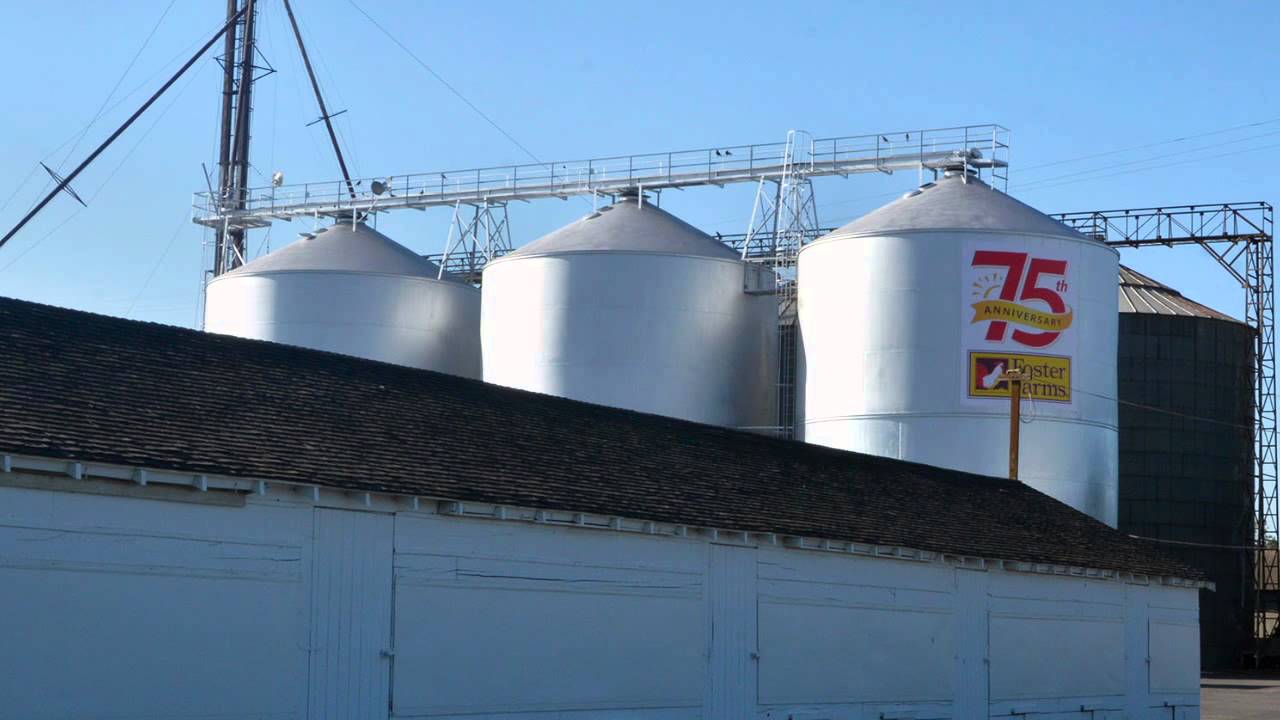 Foster Farms started at the ranch of Max and Verda Foster