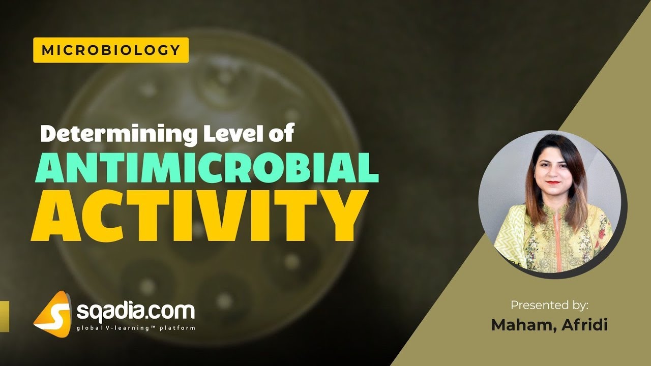 Determining Level of Antimicrobial Activity | Antimicrobial Effectiveness | V-Learning