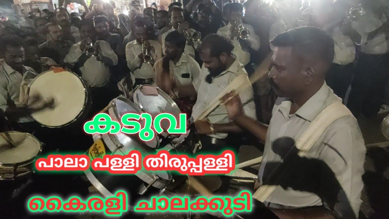 Pala Pali Thirupalli🎵Kaduva Song🎵Band set Live🎵Bandset🎵Kairali Chalakudy🎵