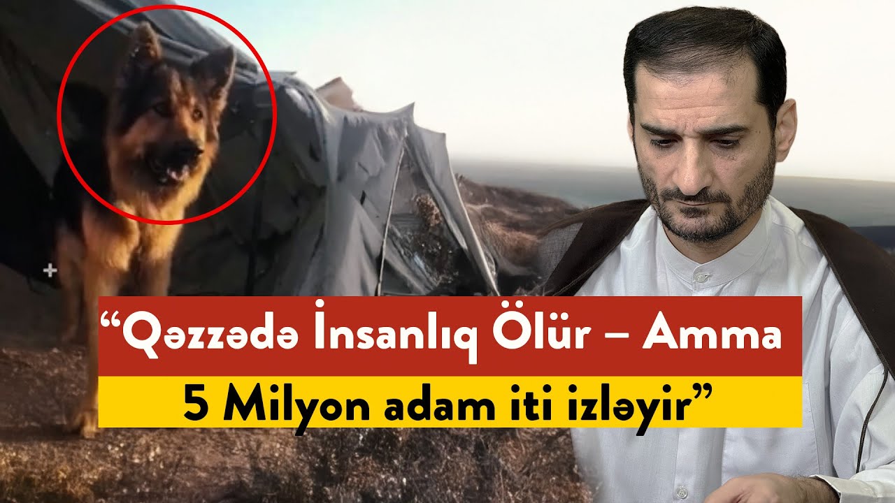 “Şok! İtin şəklini paylaşan Qəzzəliyə Avropadan Zəng: ‘İti oradan Çıxar...