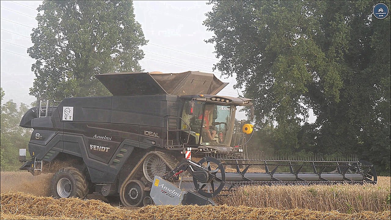 Fendt IDEAL 8T + Dominoni TOP DRAP 940 - Team Anselmi - Trebbiatura frumento 2024
