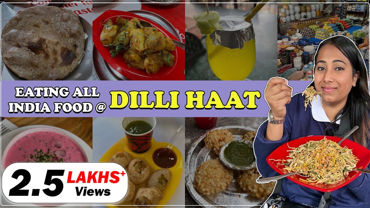 Eating All India Food @ Dilli Haat | Food Vlog | Delhi Food Series Ep-7