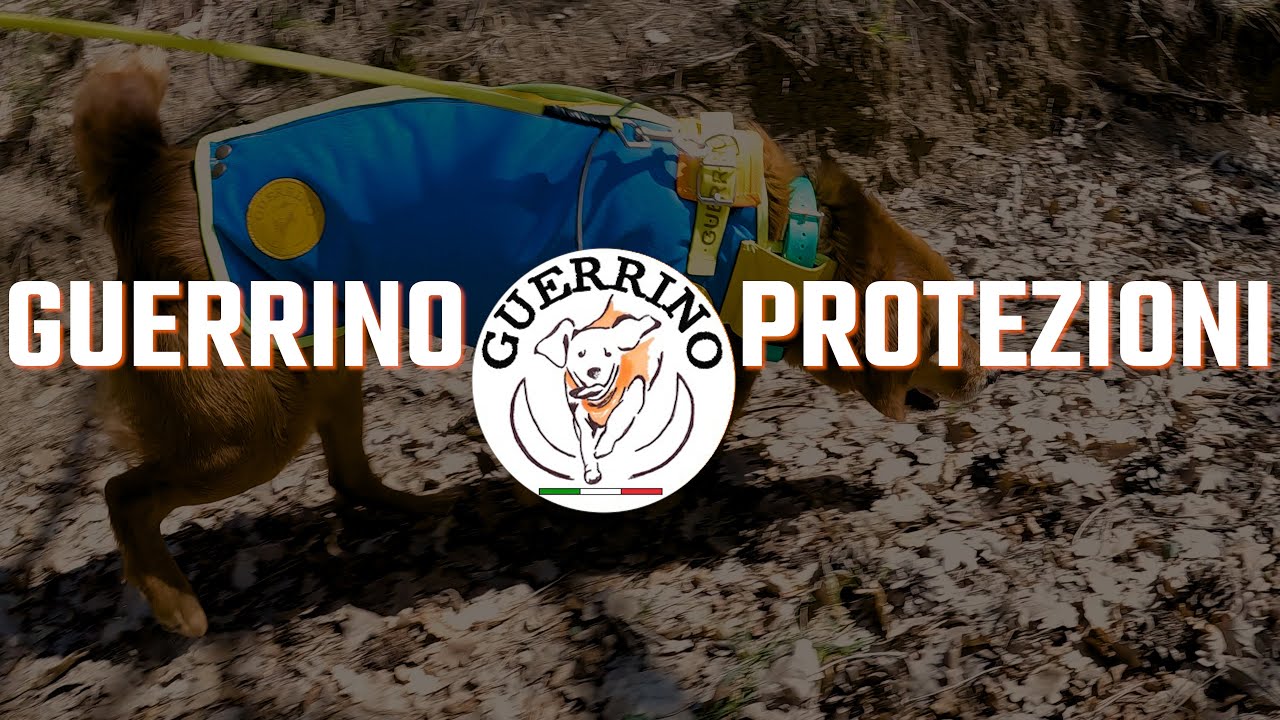 Guerrino Protezioni 2023
