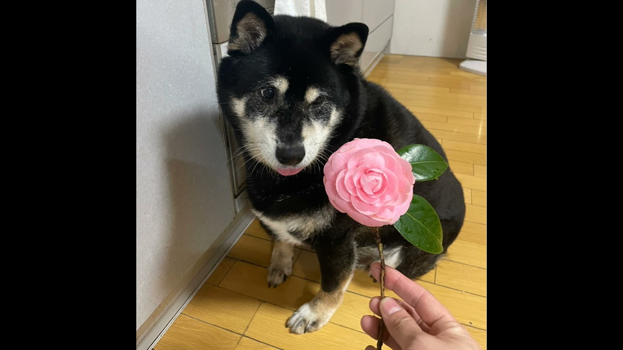 #345 同じ日々は続かないが日常こそ大事 from Radiotalk