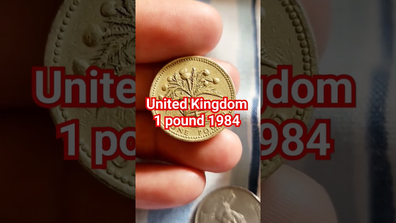 Queen Elizabeth 1984 #coin #pounds #coincollecting #shorts