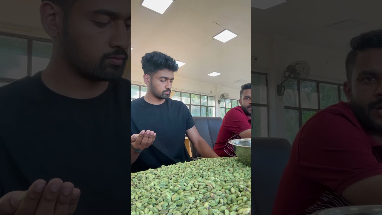 Cardamom auction #kerala #spices #uae #india #inspiration