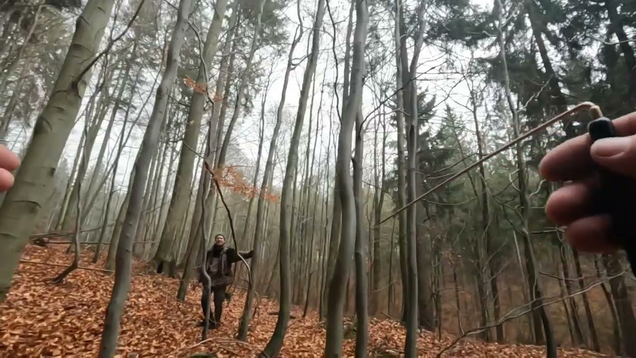 Wszyscy chcą do Riese