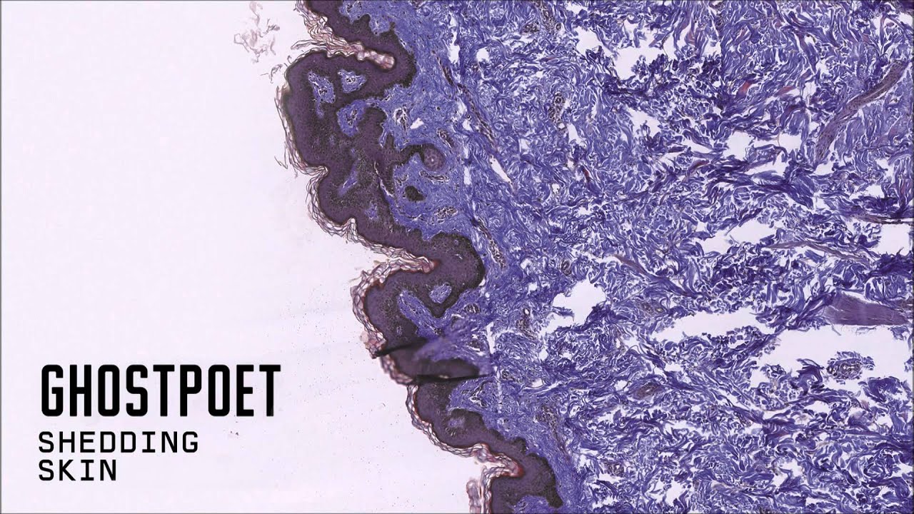 Ghostpoet - Shedding Skin (Official Audio)