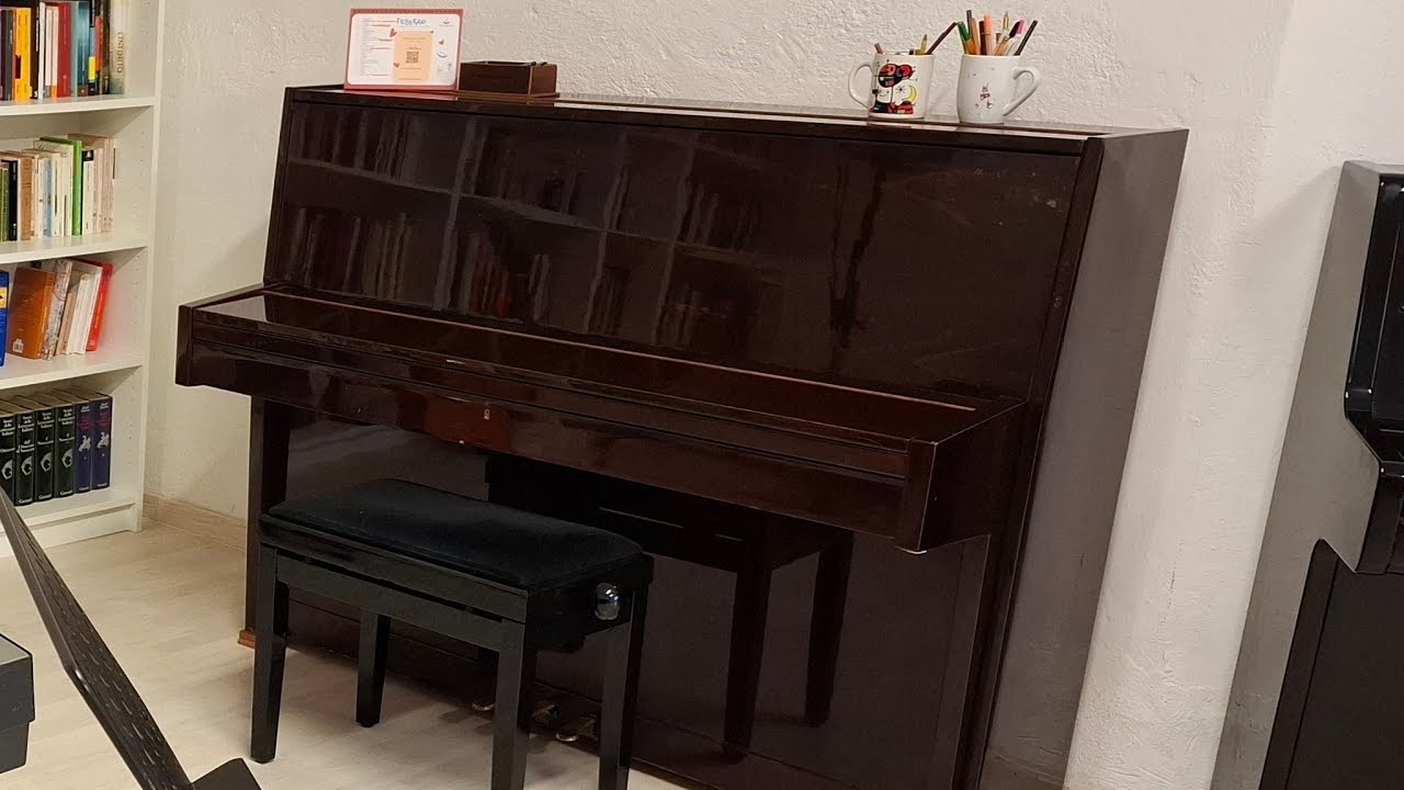 Afternoon in a music school