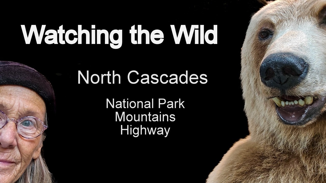 Crossing Washington's Wildest North Cascades Highway/SR20 longest road in WA #RVtravel #NationalPark