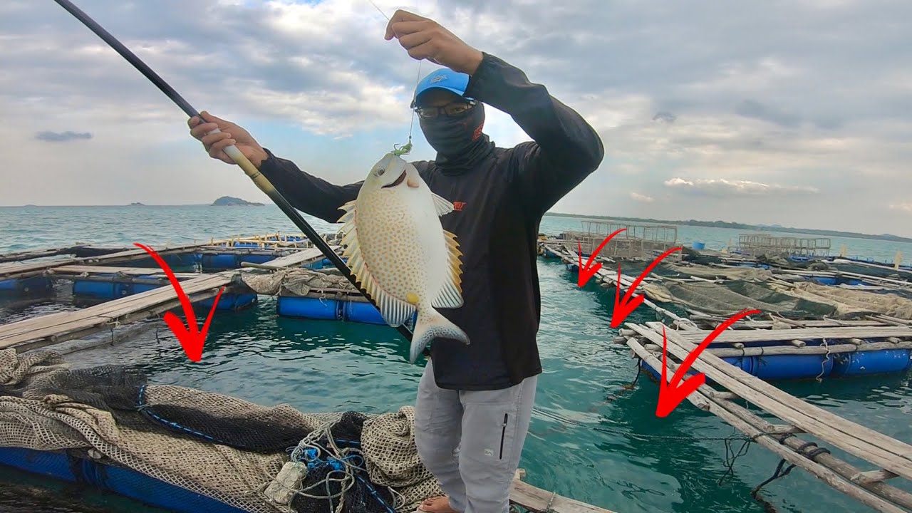 ASLI JOSS BANGET ..!!! MANCING TEPAT DI SARANG BARONANG BABON STRIKE BERTUBI-TUBI
