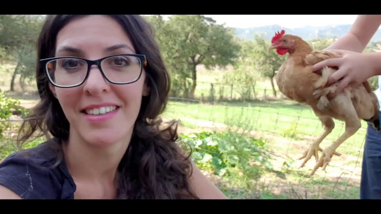 La situazione GALLINE ci è sfuggita di mano!