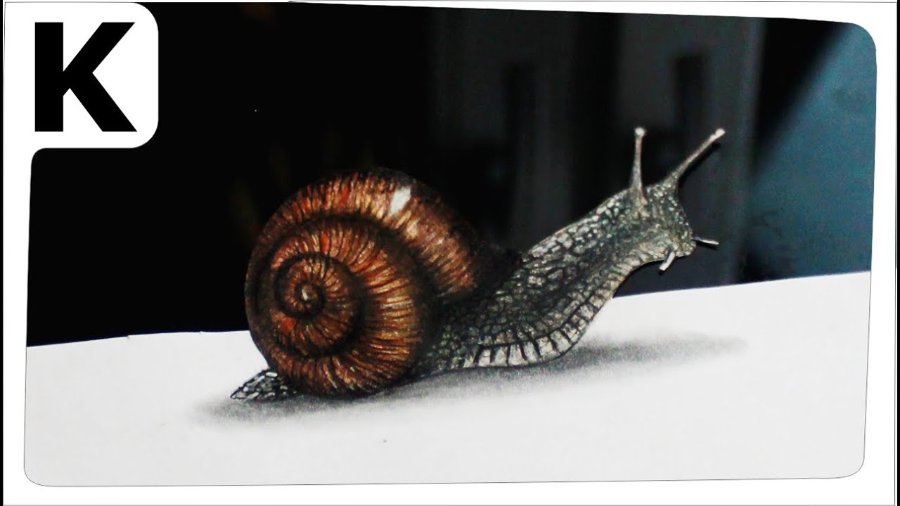 How to draw 3D- Optical illusion- snail - Rysunek 3D- Iluzja optyczna- ślimak