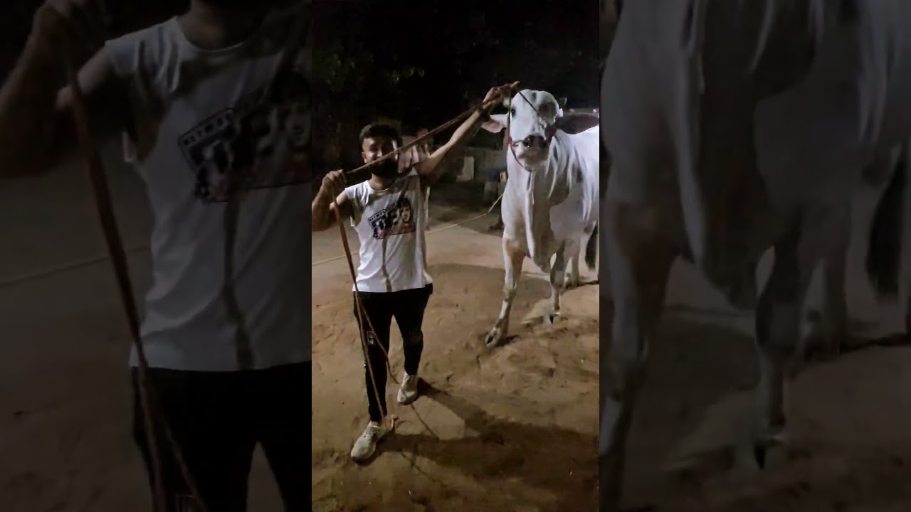 #mashallah_subhanallah