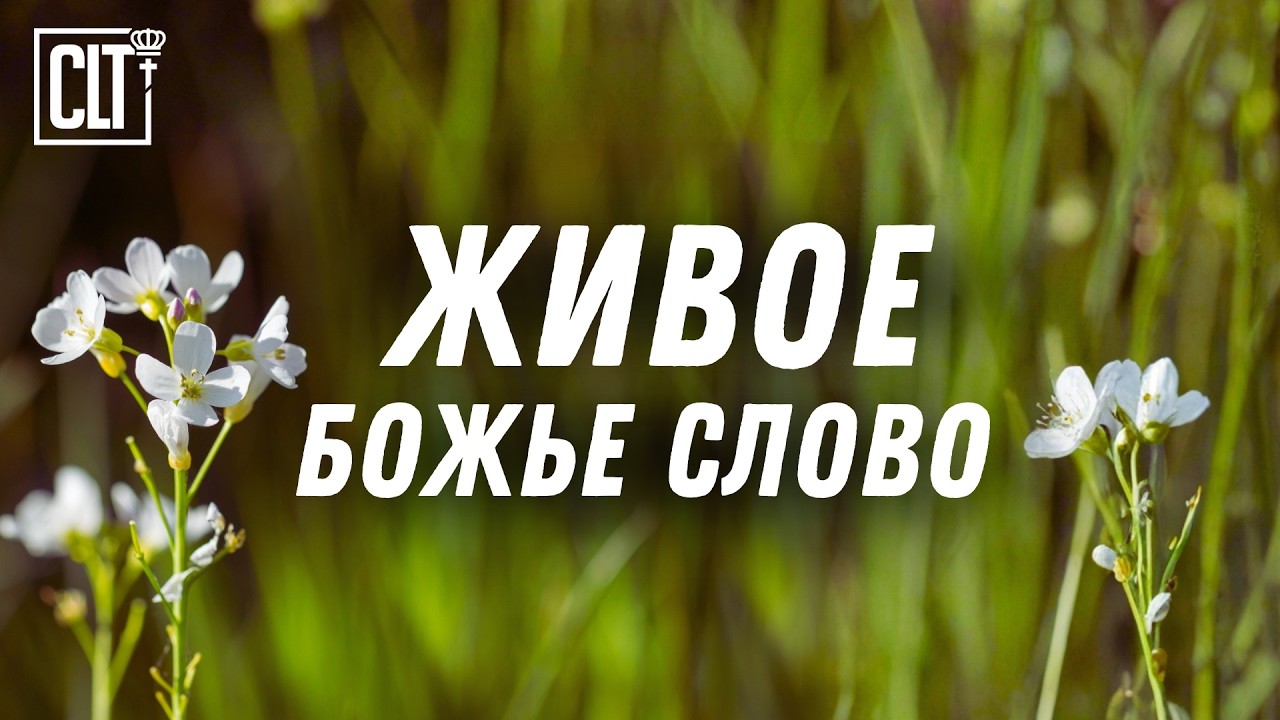 Наполни разум Божьими истинами #Библия
