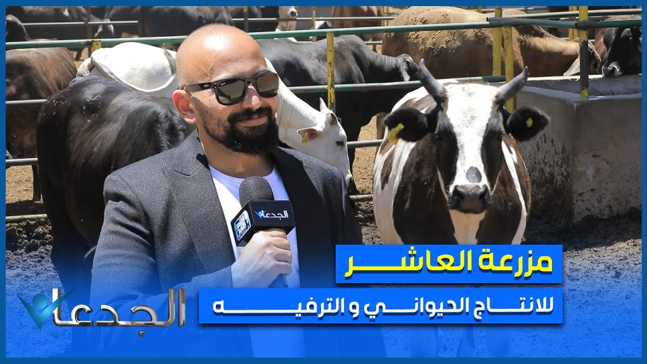 مملكة أحمد صفوت .. مزرعة متكاملة للإنتاج الحيواني و الترفيه في العاشر من رمضان