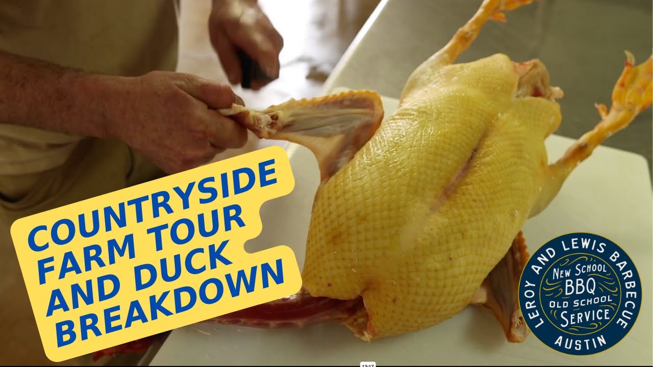 Countryside Farm Tour and Duck Breakdown with LeRoy and Lewis