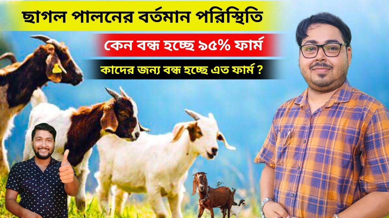 ছাগল পালনের বর্তমান পরিস্থিতি। কেন বন্ধ হচ্ছে ৯৫% ছাগলের খামার ? কাদের জন্য বন্ধ হচ্ছে এত ফার্ম?