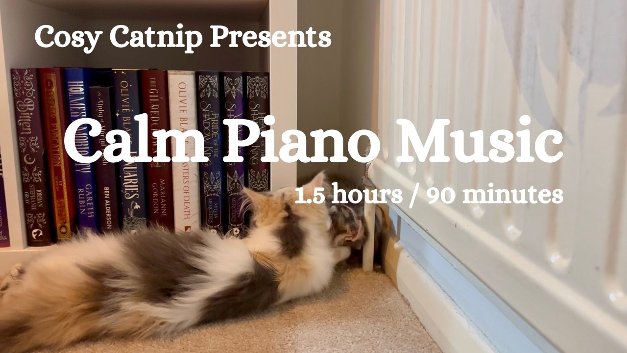 90 Minutes of Sleeping Cats 🐾 Calm Lofi Piano Music for Study, Focus, Relaxation & Sleep