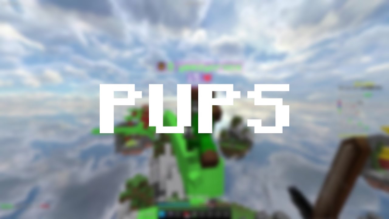 PUPS // RBW MONTAGE