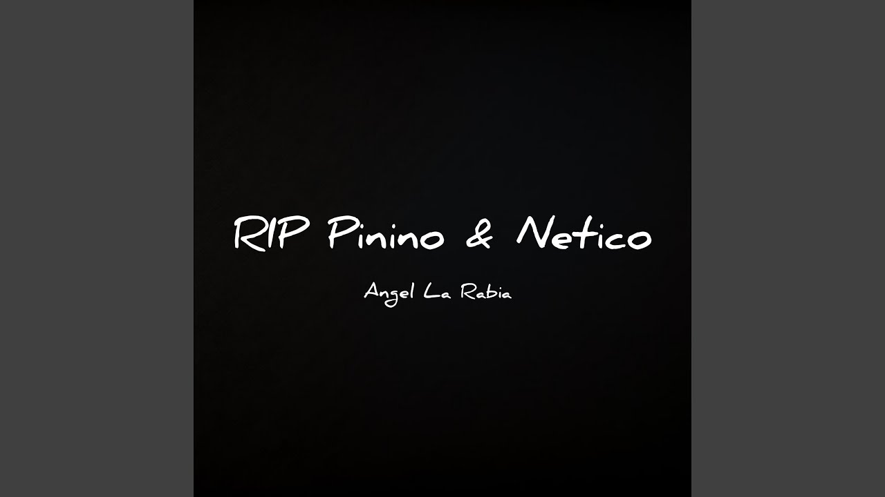 Rip Pinino & Netico