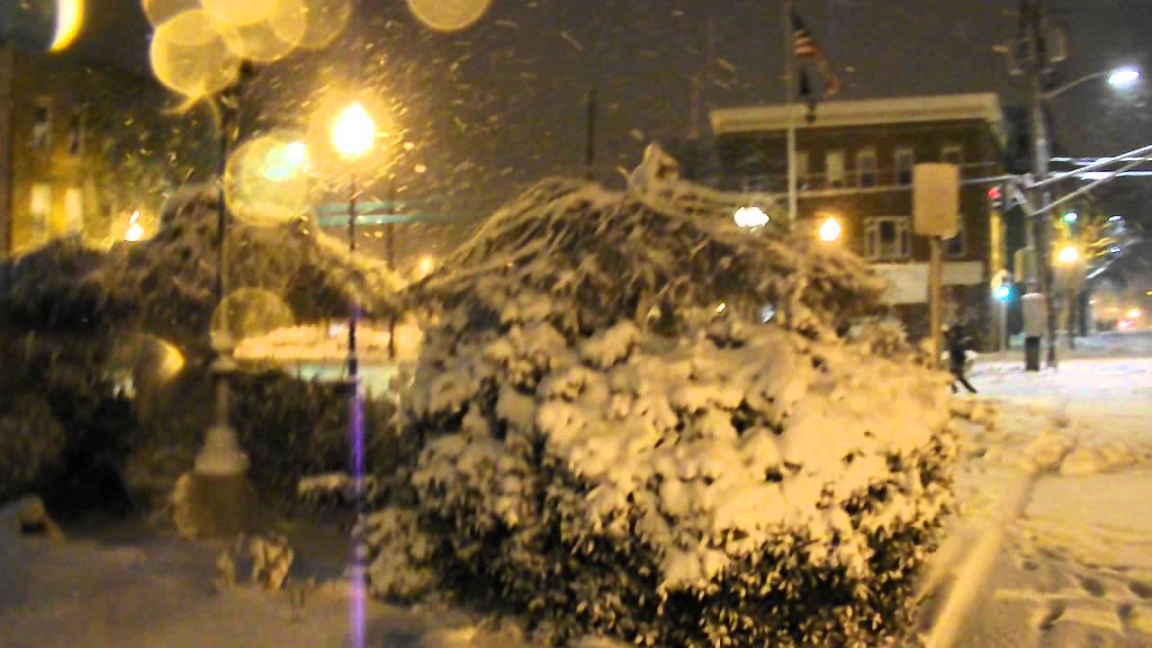 Snow  - February 8, 2013