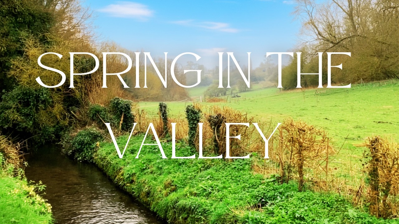 EARLY SPRINGTIME IN AN ENGLISH VALLEY | LOOSE VALLEY, KENT UK