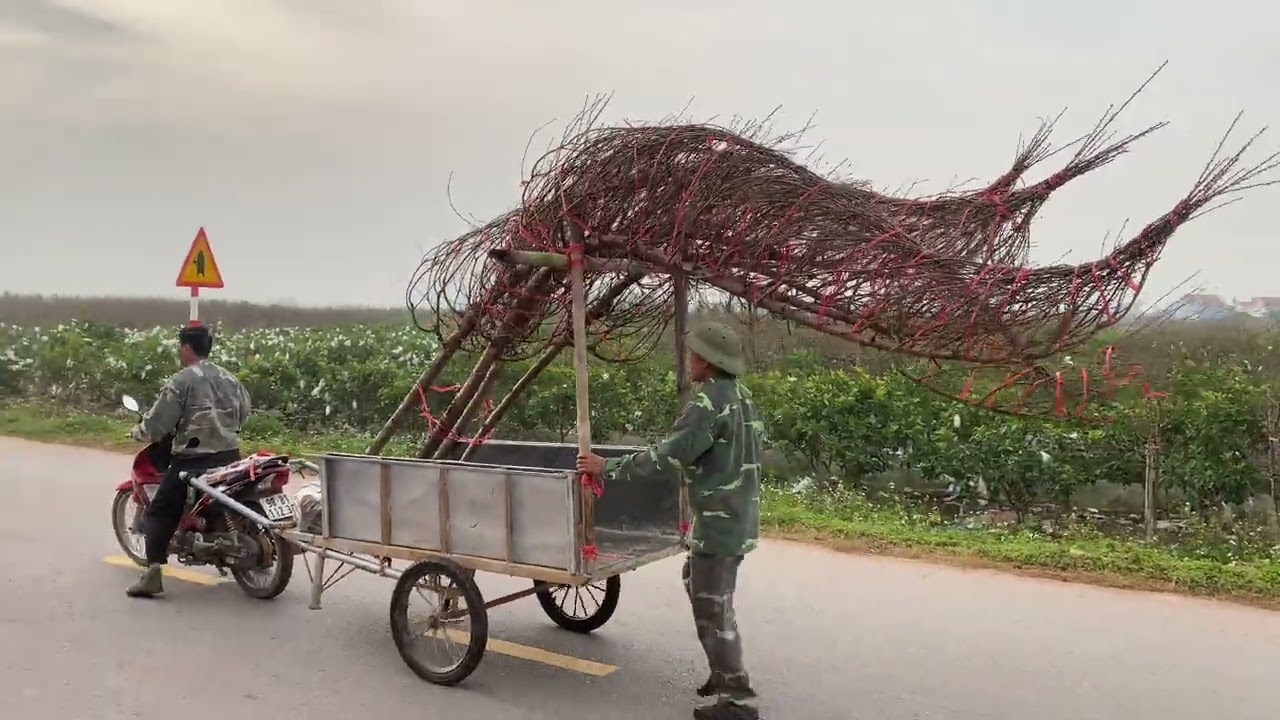 ngày 28 tháng 1, 2026