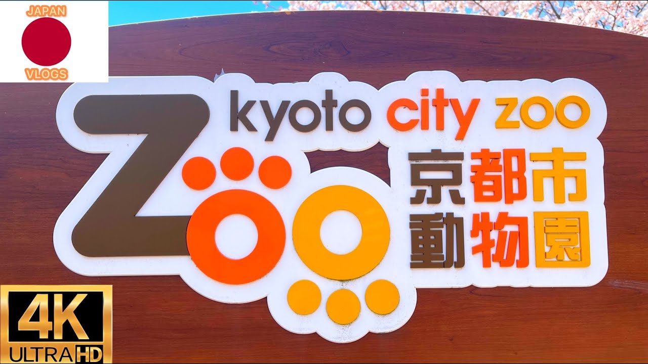 Kyoto Zoo City quick walk tour japan zoo  2022